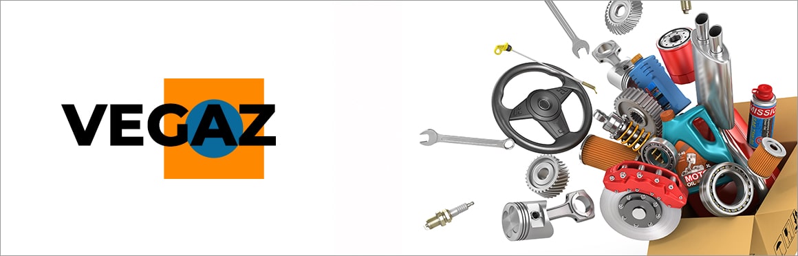 VEGAZ Scarico, corrispondenti Kit montaggio, imp. gas scarico per la tua auto