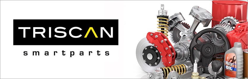 Offerta vantaggiosa per l'acquisto di autoricambi TRISCAN (comoda lista di ricambi auto TRISCAN)